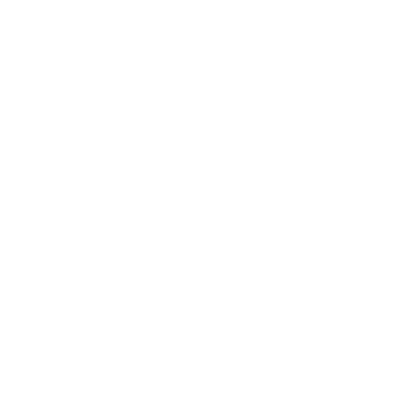 Герб міста Стрий