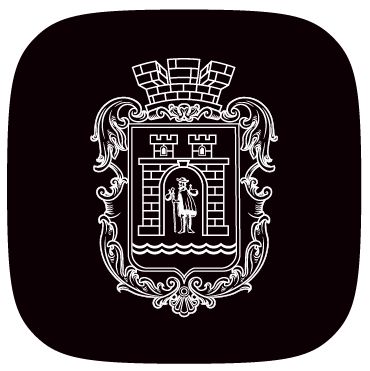 Герб міста Стрий